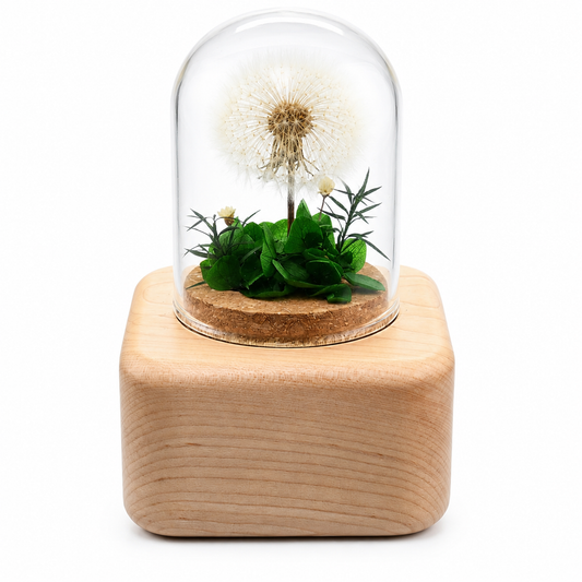 Preserved Flower Music Box with Glass Dome, Solid Wood Base, Handmade Dandelion Display, Romantic Keepsake Gift