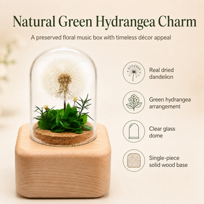 Preserved Flower Music Box with Glass Dome, Solid Wood Base, Handmade Dandelion Display, Romantic Keepsake Gift