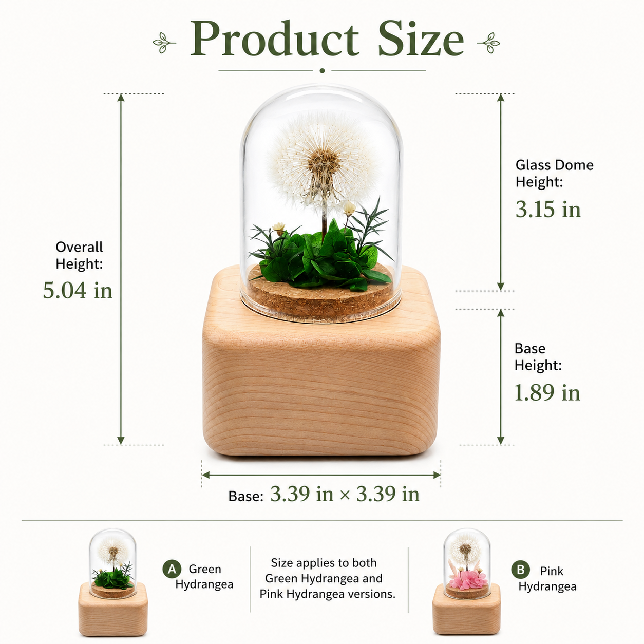 Preserved Flower Music Box with Glass Dome, Solid Wood Base, Handmade Dandelion Display, Romantic Keepsake Gift