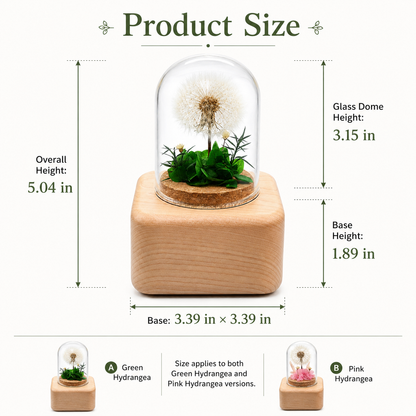 Preserved Flower Music Box with Glass Dome, Solid Wood Base, Handmade Dandelion Display, Romantic Keepsake Gift