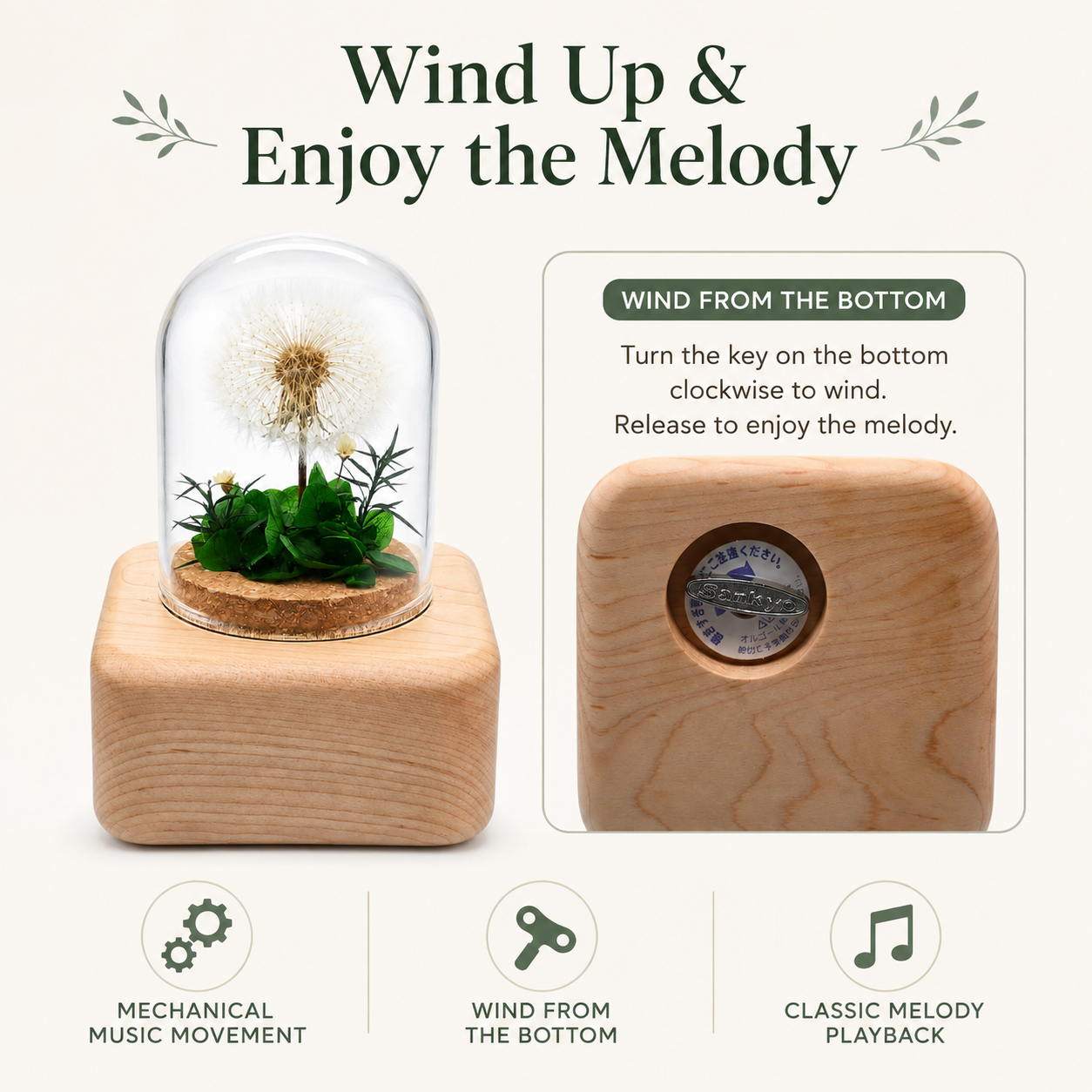 Preserved Flower Music Box with Glass Dome, Solid Wood Base, Handmade Dandelion Display, Romantic Keepsake Gift