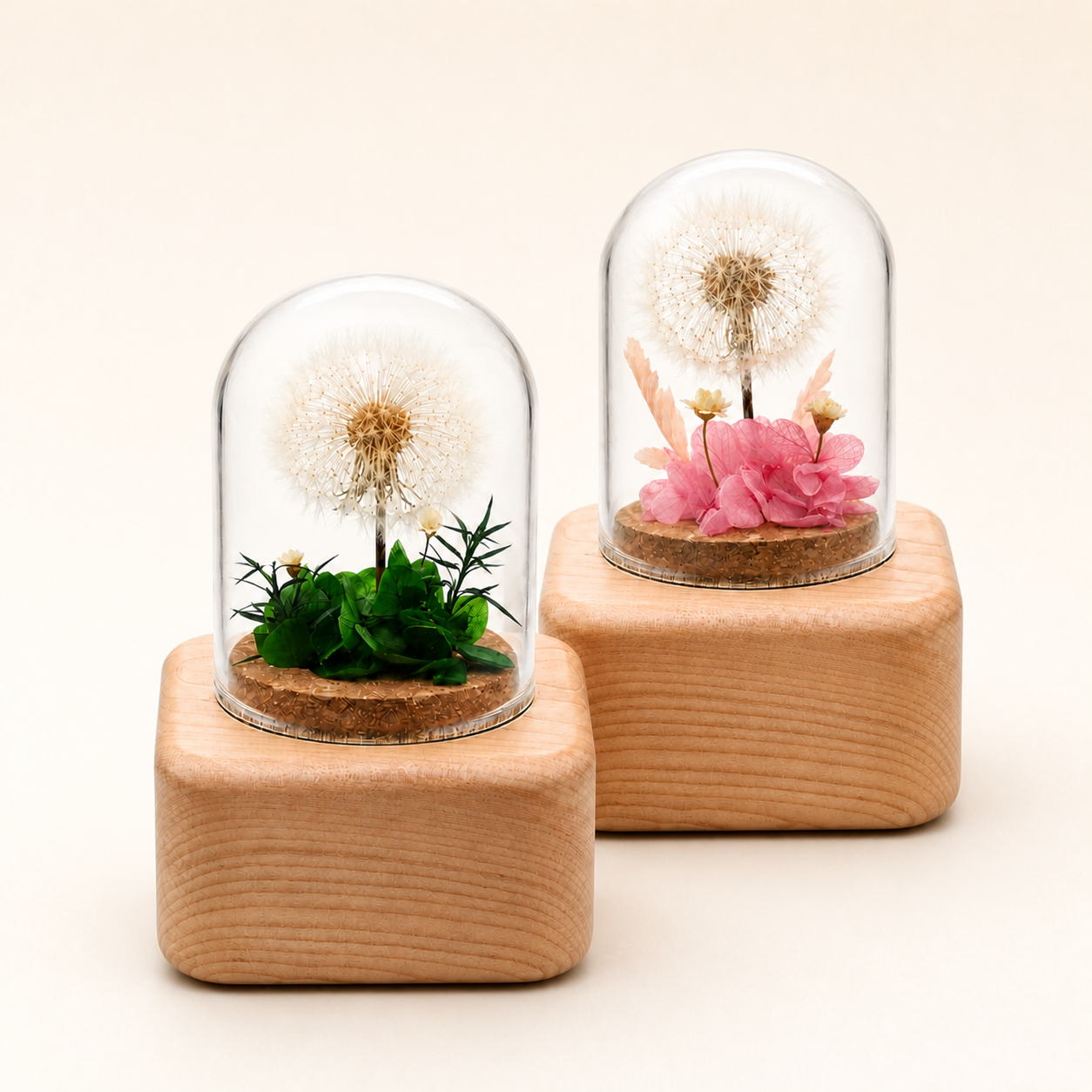 Preserved Flower Music Box with Glass Dome, Solid Wood Base, Handmade Dandelion Display, Romantic Keepsake Gift