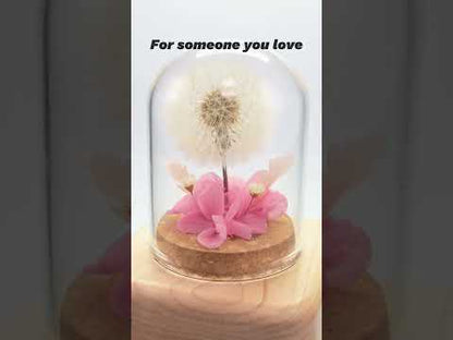 Preserved Flower Music Box with Glass Dome, Solid Wood Base, Handmade Dandelion Display, Romantic Keepsake Gift