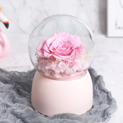 Beautiful Preserved Flowers Music Box