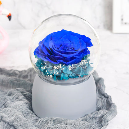 Beautiful Preserved Flowers Music Box