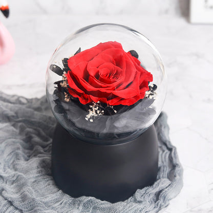 Beautiful Preserved Flowers Music Box