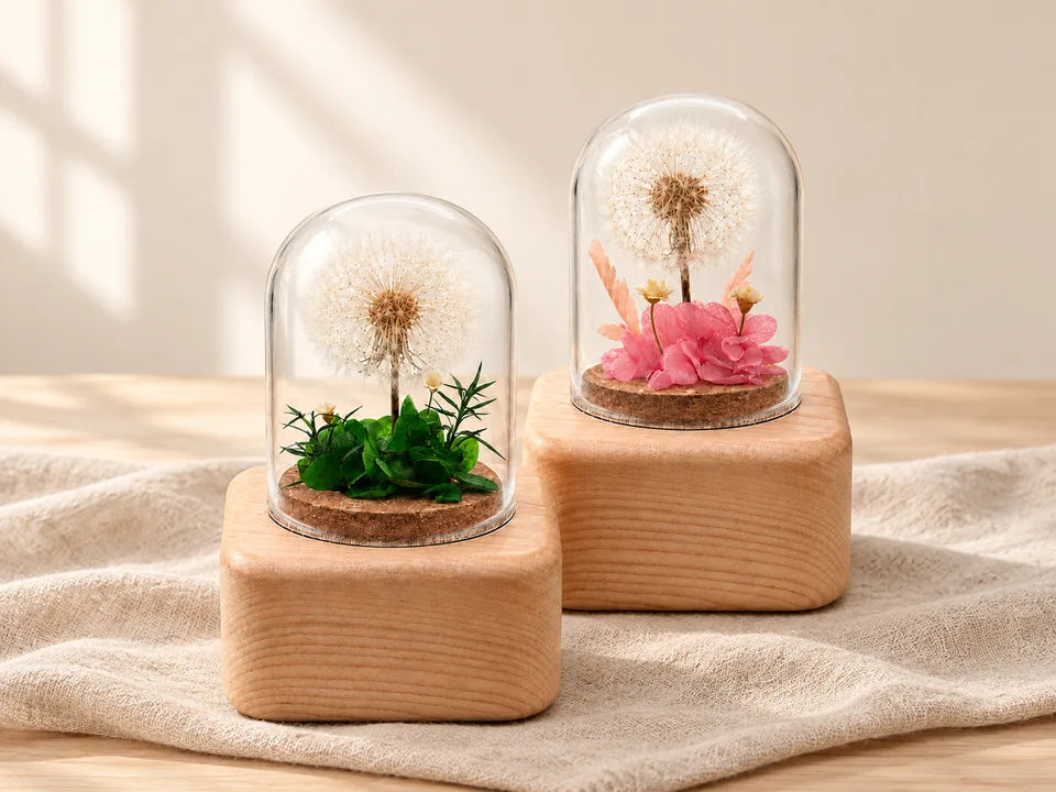 Preserved flower boxes